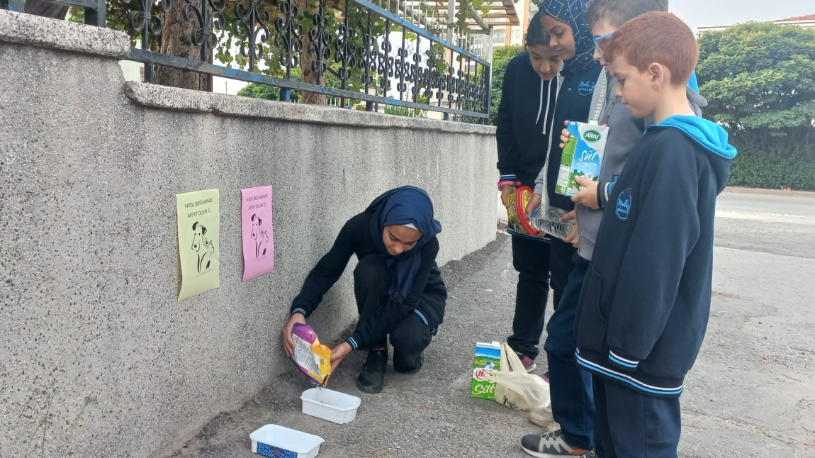 Okulumuzun çevresinde öğrencilerimiz ile belli bölgelere sokak hayvanları için mama, su ve süt bıraktık